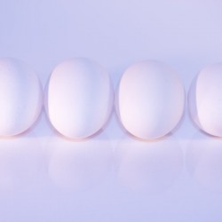 Mostly white